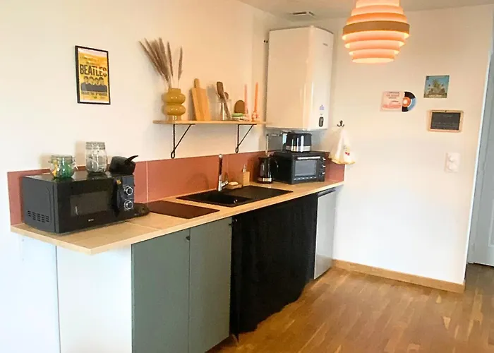 Vinyle Club-retro 70's-6 Pers-terrasse-wifi-parking Daire *